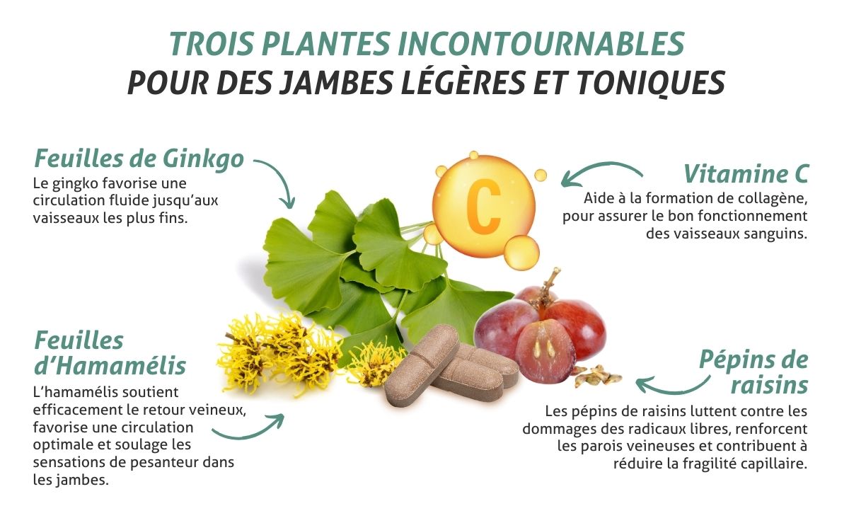 phyto circulation - ingredients